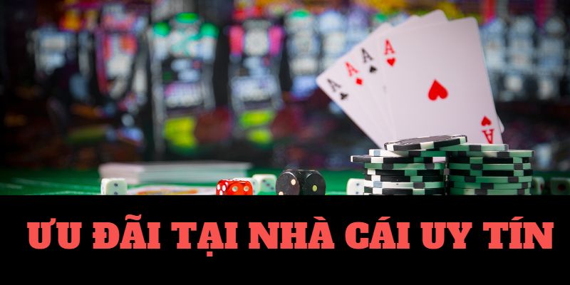 8LIVE-Nhận code tân thủ và trải nghiệm sự khác biệt!